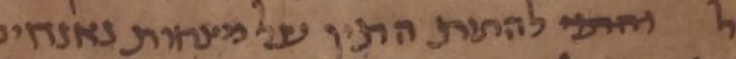 T-S 16.311, CUDL image 1, line 12: detail of the disputed reading