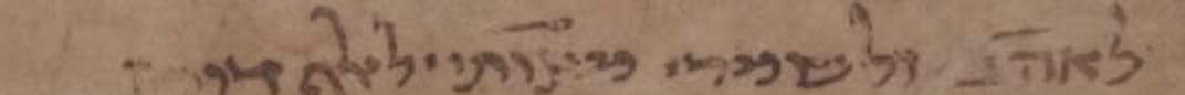 T-S 16.311, CUDL image 1, line 2: detail of the disputed reading