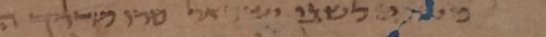 T-S 16.311, CUDL image 1, line 29: detail of the disputed reading