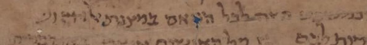 T-S 16.311, CUDL image 1, line 32–33: detail of the disputed reading